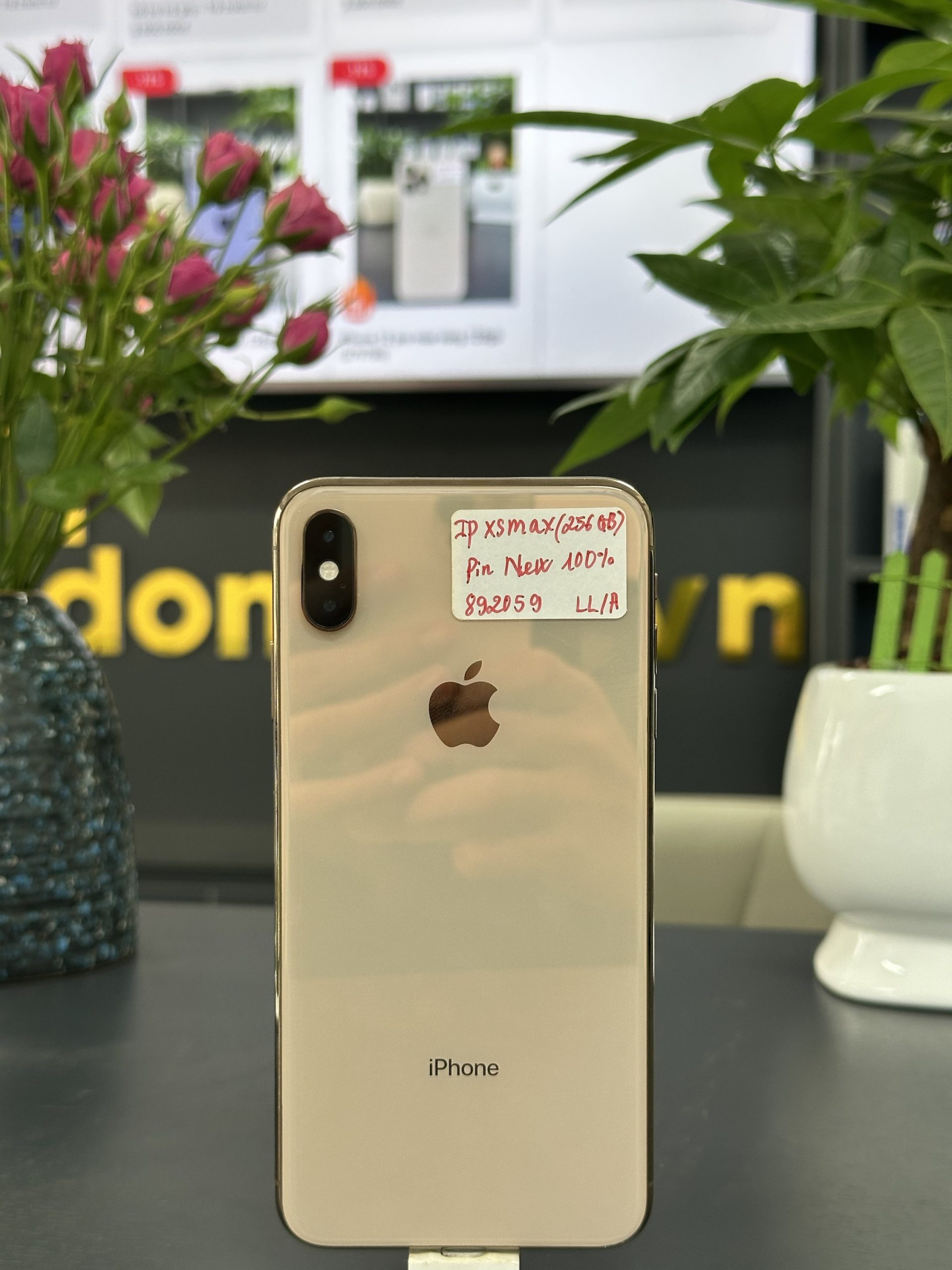 iPhone Xs max vàng 256gb (892059)