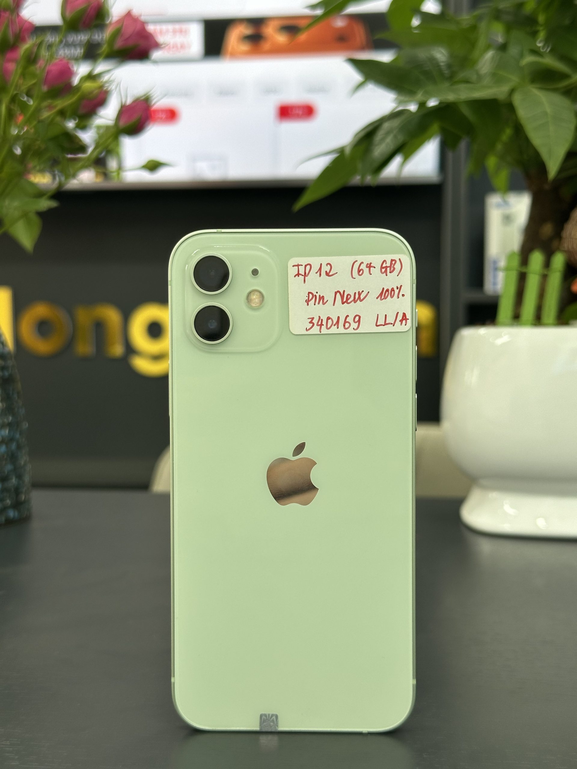 iPhone 12 xanh ngọc 64gb (340169)